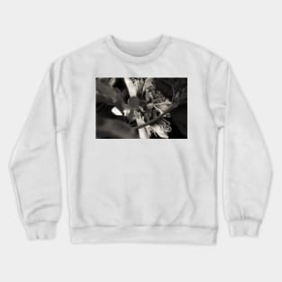 Passion Flower Closeup in Black and White Crewneck Sweatshirt